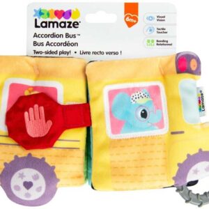 Accordion Bus