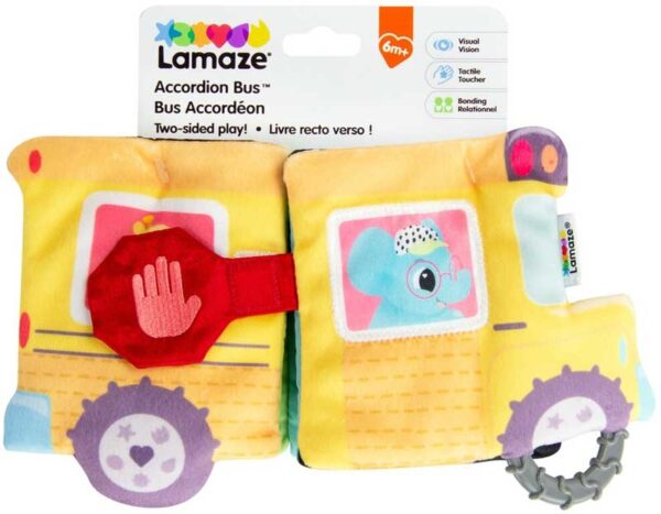 Accordion Bus