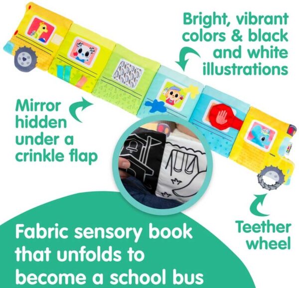 Accordion Bus