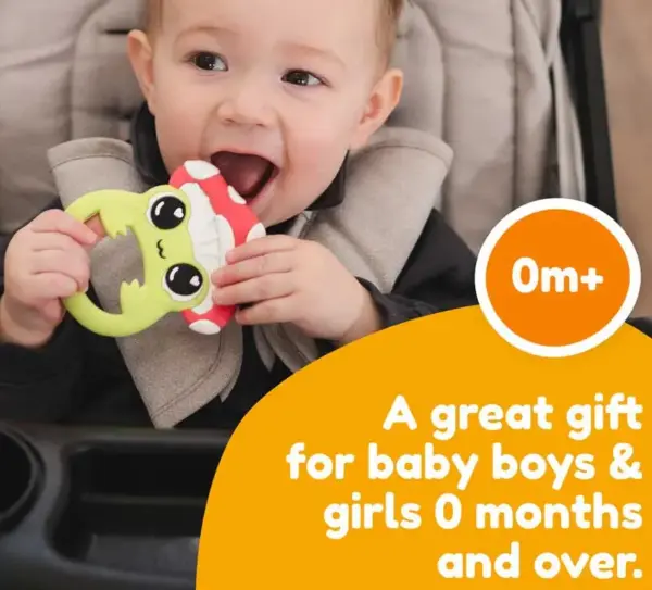 Finlee the Frog Teether