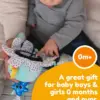 Soothing Salty Sam Stroller Toy