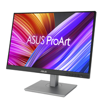 ASUS PROART DISPLAY PA248CNV
