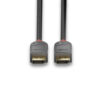 2M DISPLAYPORT CABLE ANTHRA LINE