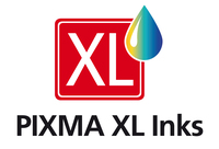 PG-575XL /CL-576XL PVP