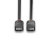 2M DISPLAYPORT CABLE BLACK LINE