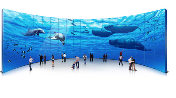 Samsung MagicInfo Video Wall-S Software - Author License 1 license(s)