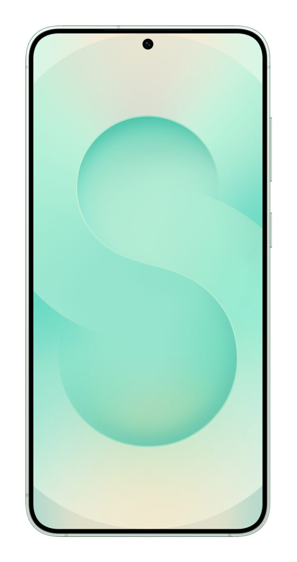 Samsung Galaxy S25+ 17 cm (6.7") Dual SIM Android 15 5G USB Type-C 12 GB 512 GB 4900 mAh Mint colour