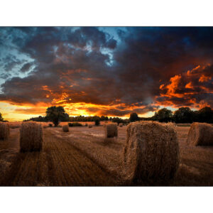 Samsung VM46B-U LCD Indoor