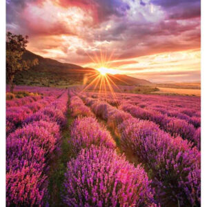 Samsung IF015H-E LED Indoor