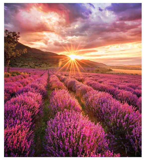 Samsung IF015H-E LED Indoor