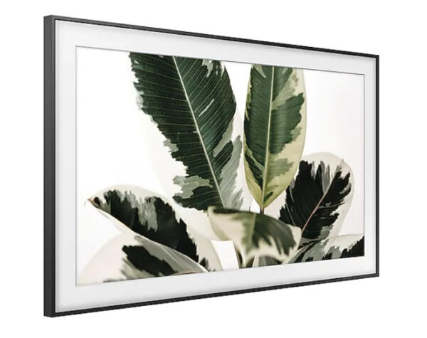 Samsung The Frame 2019 Art Mode 124.5 cm (49") 4K Ultra HD Smart TV Wi-Fi Black, White