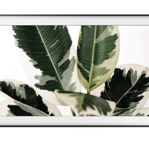 Samsung The Frame 2019 Art Mode 124.5 cm (49") 4K Ultra HD Smart TV Wi-Fi Black, White