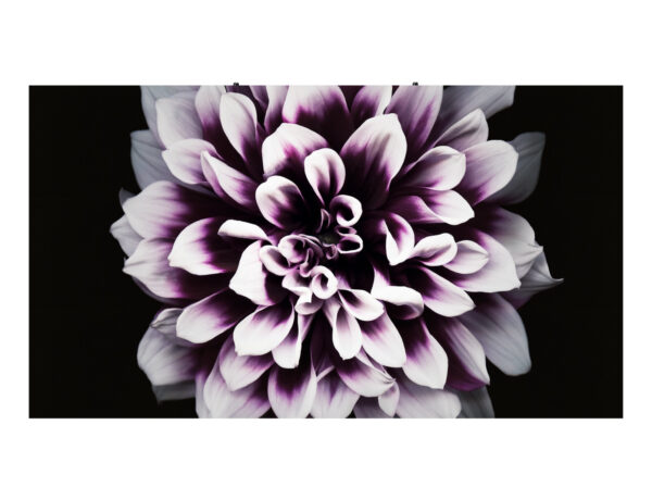 Samsung LH008IWJMWS/XU video wall display Indoor