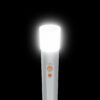 Hama FL350-C Silver Hand flashlight LED