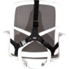 Fellowes Back Support for Office Chair - Professional Series Ultimate