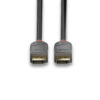 0.5M DISPLAYPORT CABLE ANTHRA LINE