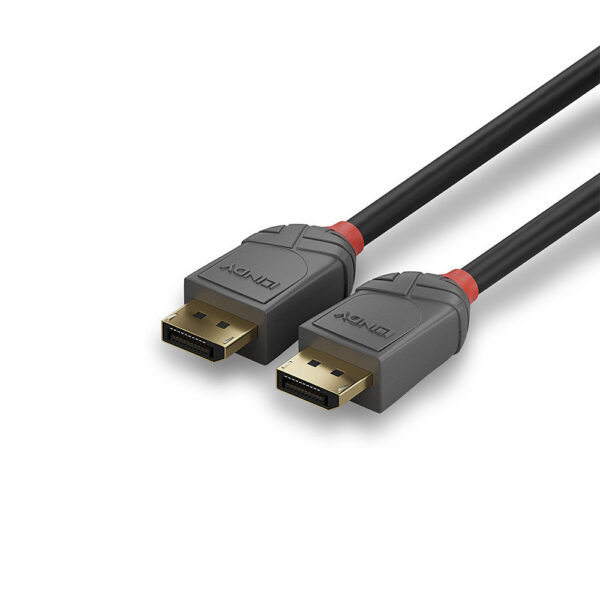 0.5M DISPLAYPORT CABLE ANTHRA LINE
