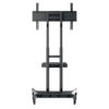 STAND 180 + SHELF & CAMERA HOLDER