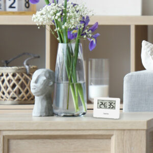 Hama 00222222 environment thermometer Electronic environment