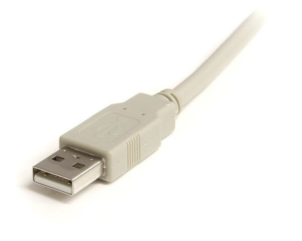 StarTech.com 6 ft Beige A to A USB 2.0 Cable - M/M