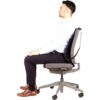Fellowes Back Support for Office Chair - Professional Series Mesh
