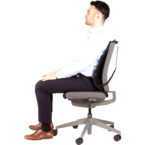 Fellowes Back Support for Office Chair - Professional Series Mesh