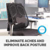Fellowes Back Support for Office Chair - Professional Series Mesh Fellowes Back Support for Office Chair - Professional Series Mesh