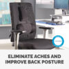 Fellowes Back Support for Office Chair - Professional Series Ultimate Fellowes Back Support for Office Chair - Professional Series Ultimate