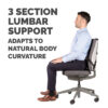 Fellowes Back Support for Office Chair - Professional Series Ultimate Fellowes Back Support for Office Chair - Professional Series Ultimate