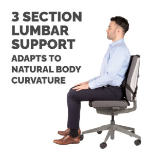 Fellowes Back Support for Office Chair - Professional Series Ultimate Fellowes Back Support for Office Chair - Professional Series Ultimate