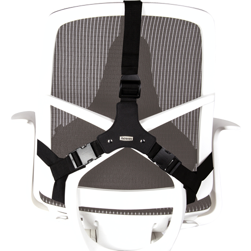 Fellowes Back Support for Office Chair - Professional Series Ultimate Fellowes Back Support for Office Chair - Professional Series Ultimate