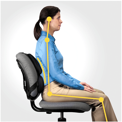 Fellowes Back Support for Office Chair - Professional Series Ultimate Fellowes Back Support for Office Chair - Professional Series Ultimate