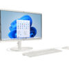 22-DG0007NA PEN N100 8GB 128GB