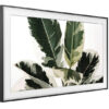 Samsung The Frame 2019 Art Mode 124.5 cm (49") 4K Ultra HD Smart TV Samsung The Frame 2019 Art Mode 124.5 cm (49") 4K Ultra HD Smart TV