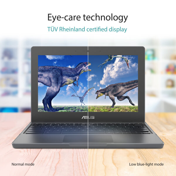 ASUS Chromebook CR1 CR1100CKA-GJ0015-3Y Intel® Celeron® N N4500 29.5
