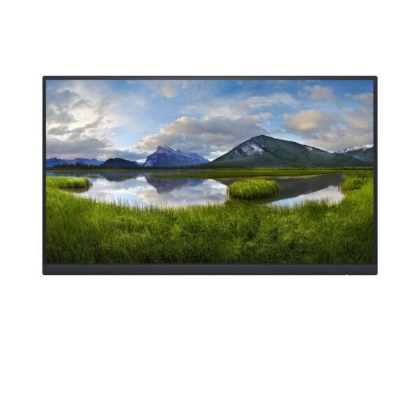 DELL P Series 22 Monitor - P2222H Without Stand DELL P Series 22 Monitor - P2222H Without Stand