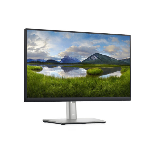 DELL P Series 22 Monitor - P2222H DELL P Series 22 Monitor - P2222H