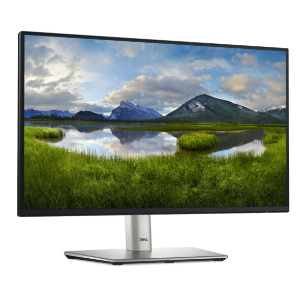 DELL P Series P2225H computer monitor 54.6 cm (21.5") 1920 x 1080 DELL P Series P2225H computer monitor 54.6 cm (21.5") 1920 x 1080