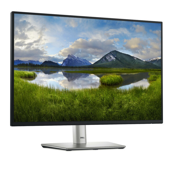 DELL Pro Plus P2425E computer monitor 61.1 cm (24.1") 1920 x 1200 DELL Pro Plus P2425E computer monitor 61.1 cm (24.1") 1920 x 1200