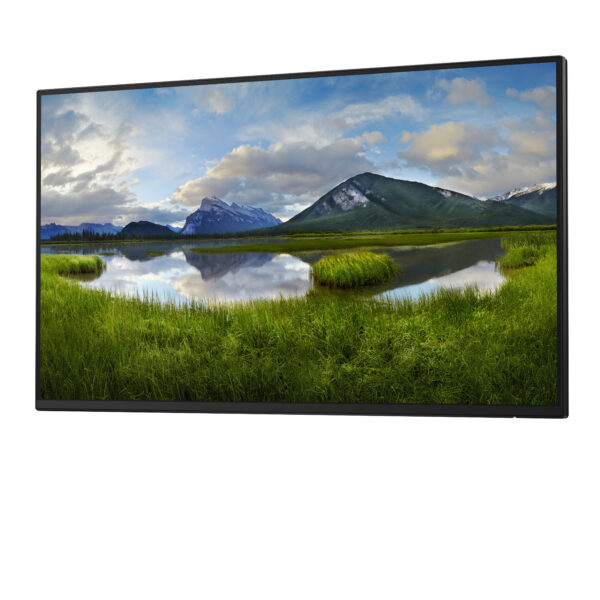 DELL Pro Plus P2425H_WOST computer monitor 61 cm (24") 1920 x 1080 DELL Pro Plus P2425H computer monitor 60.5 cm (23.8") 1920 x 1080