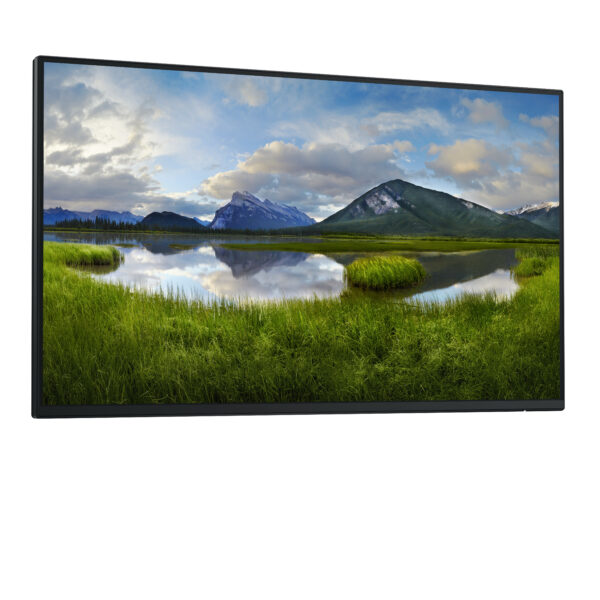 DELL Pro Plus P2425H_WOST computer monitor 61 cm (24") 1920 x 1080 DELL Pro Plus P2425H computer monitor 60.5 cm (23.8") 1920 x 1080