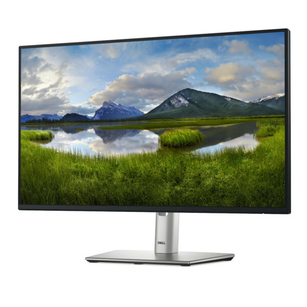 DELL Pro Plus P2425H computer monitor 60.5 cm (23.8") 1920 x 1080 DELL Pro Plus P2425H computer monitor 60.5 cm (23.8") 1920 x 1080