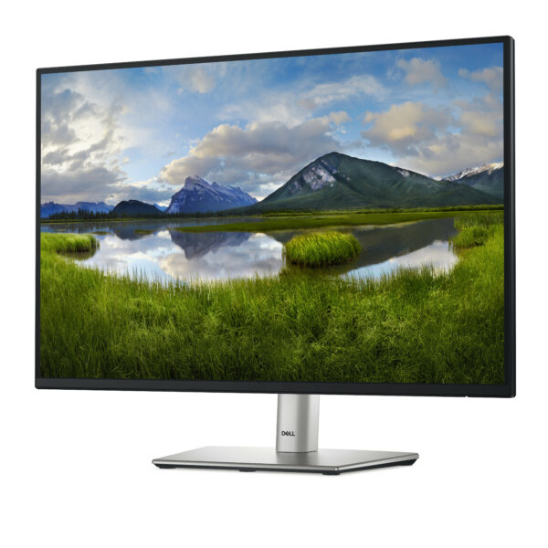 DELL Pro Plus P2425 computer monitor 61.1 cm (24.1") 1920 x 1200 DELL Pro Plus P2425 computer monitor 61.1 cm (24.1") 1920 x 1200