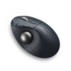 K: PROFIT ERGO TB550 TRACKBALL