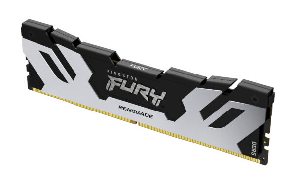 Kingston Fury Renegade 64GB Kit (2 x 32GB), DDR5, 6400MHz, CL32, 1.4V, ECC, XMP 3.0, PMIC, DIMM Memory, Black/Silver