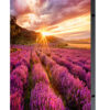 Samsung IF015H Direct view LED (DVLED) Indoor Samsung IF015H Direct view LED (DVLED) Indoor