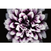 Samsung LH016IWJMWS video wall display Direct view LED (DVLED) Samsung LH008IWJMWS Signage Display Digital signage flat panel LED 500 cd/m² 4K Ultra HD Black, Silver