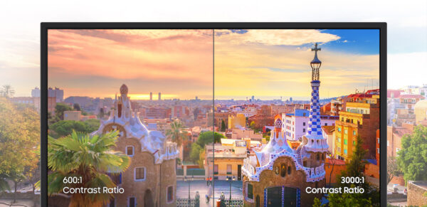 24IN S31D FHD TILT MONITOR
