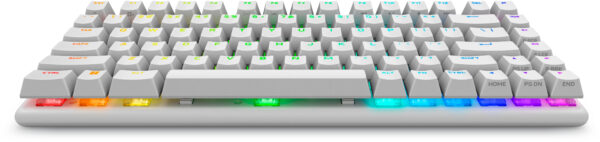 Alienware Pro Wireless Gaming keyboard USB + RF Wireless + Bluetooth