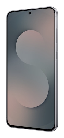 Samsung Galaxy S25 FE Enterprise Edition 17 cm (6.7") Dual SIM Android 16.0 5G USB Type-C 8 GB 128 GB 4900 mAh Black